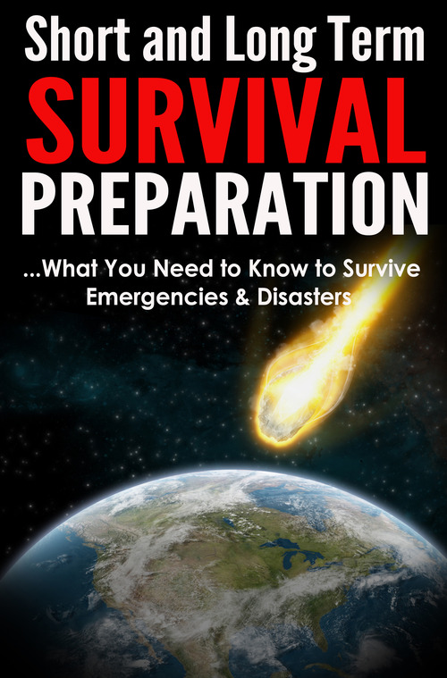 Product picture Short and Long Term Survival Preparation
